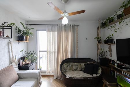 Sala de apartamento para alugar com 2 quartos, 52m² em Jardim Casa Pintada, São Paulo