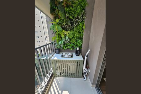 Apartamento para alugar com 25m², 1 quarto e sem vaga Apartamento para alugar com 25m², 1 quarto e sem vagaVaranda