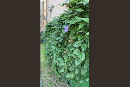 Apartamento para alugar com 60m², 2 quartos e 1 vaga