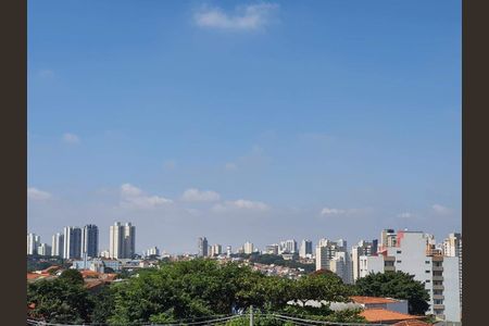 Apartamento para alugar com 3 quartos, 101m² em Vila Mariana, São Paulo