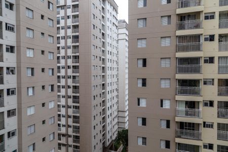Apartamento para alugar com 64m², 3 quartos e 1 vagaQuarto 2 - vista