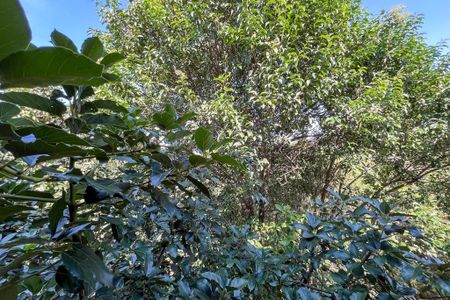 Vista da Sacada de apartamento para alugar com 1 quarto, 70m² em Jardim Patente Novo, São Paulo