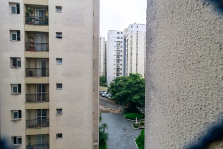 Quarto 1 - Vista de apartamento para alugar com 2 quartos, 54m² em Vila das Belezas, São Paulo