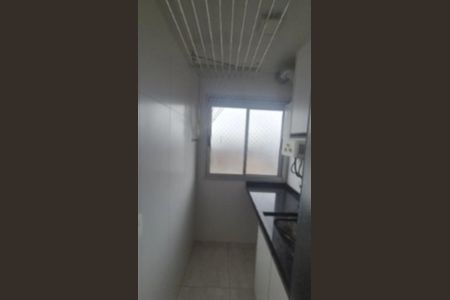 Lavanderia  de apartamento para alugar com 2 quartos, 48m² em Jardim Vila Formosa, São Paulo