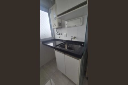 Lavanderia  de apartamento para alugar com 2 quartos, 48m² em Jardim Vila Formosa, São Paulo