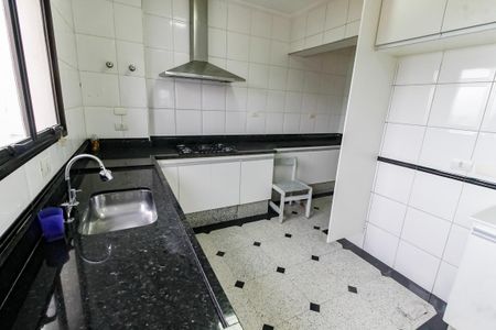 Apartamento para alugar com 213m², 3 quartos e 3 vagas Apartamento para alugar com 213m², 3 quartos e 3 vagasCozinha - Armários