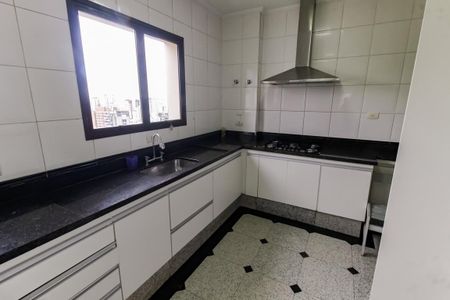 Apartamento para alugar com 213m², 3 quartos e 3 vagas Apartamento para alugar com 213m², 3 quartos e 3 vagasCozinha - Armários