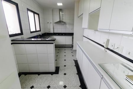 Apartamento para alugar com 213m², 3 quartos e 3 vagas Apartamento para alugar com 213m², 3 quartos e 3 vagasCozinha - Armários