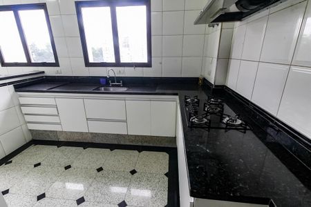 Apartamento para alugar com 213m², 3 quartos e 3 vagas Apartamento para alugar com 213m², 3 quartos e 3 vagasCozinha - Armários
