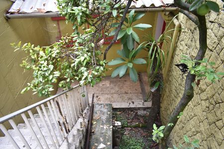 Casa para alugar com 342m², 8 quartos e 2 vagasÁrea externa