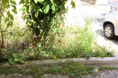 Casa para alugar com 60m², 2 quartos e 2 vagasQuintal