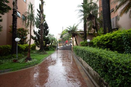 Apartamento para alugar com 98m², 3 quartos e 1 vagaÁrea comum