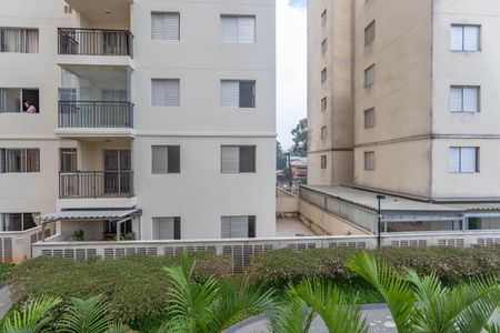 Apartamento para alugar com 65m², 3 quartos e 1 vagaVista do quarto 1 