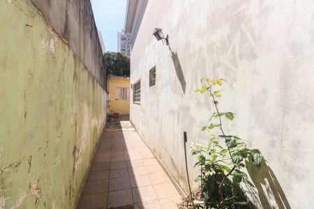 Casa para alugar com 125m², 2 quartos e 3 vagasQuintal 