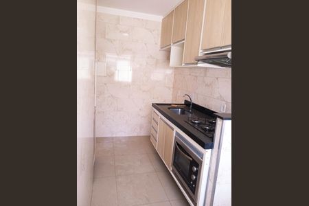 Cozinha de apartamento para alugar com 2 quartos, 48m² em Jardim Santa Terezinha (Nova Veneza), Campinas