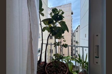 Apartamento à venda com 114m², 3 quartos e sem vaga Apartamento à venda com 114m², 3 quartos e sem vagaQuarto 1 - vista