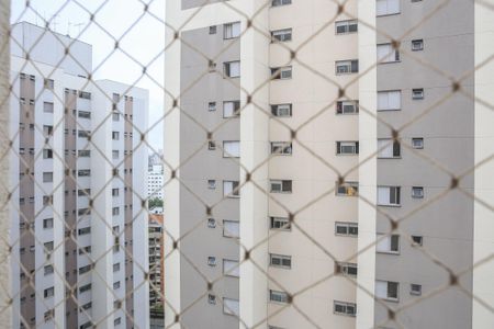 Vista da Suíte de apartamento para alugar com 3 quartos, 75m² em Vila Leopoldina, São Paulo