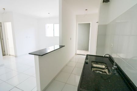 Cozinha  de apartamento para alugar com 2 quartos, 47m² em Jardim dos Ipes, São Paulo