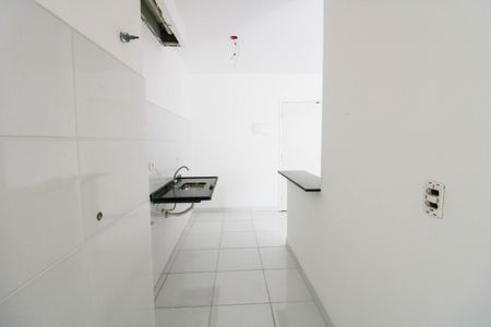 Cozinha de apartamento para alugar com 2 quartos, 47m² em Jardim dos Ipes, São Paulo