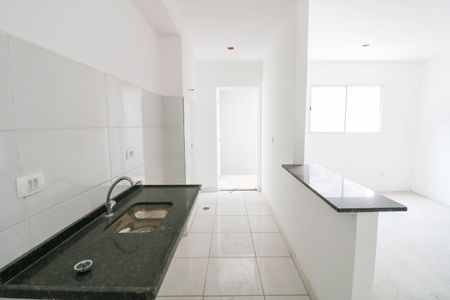 Cozinha de apartamento para alugar com 2 quartos, 47m² em Jardim dos Ipes, São Paulo