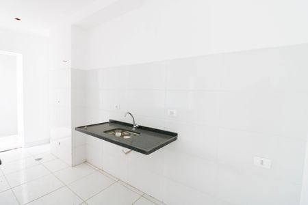 Cozinha de apartamento para alugar com 2 quartos, 47m² em Jardim dos Ipes, São Paulo