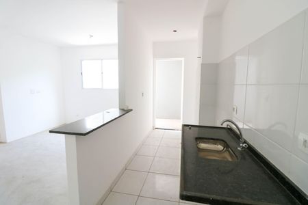 Cozinha  de apartamento para alugar com 2 quartos, 47m² em Jardim dos Ipes, São Paulo