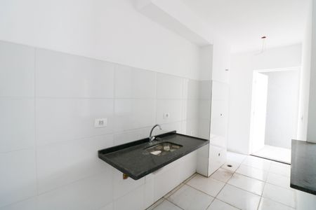 Cozinha de apartamento para alugar com 2 quartos, 47m² em Jardim dos Ipes, São Paulo