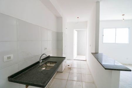 Cozinha de apartamento para alugar com 2 quartos, 47m² em Jardim dos Ipes, São Paulo