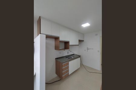 Apartamento para alugar com 60m², 2 quartos e 1 vagaCozinha - Armários