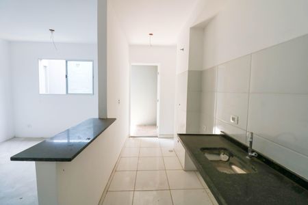 Cozinha de apartamento para alugar com 2 quartos, 47m² em Jardim dos Ipes, São Paulo