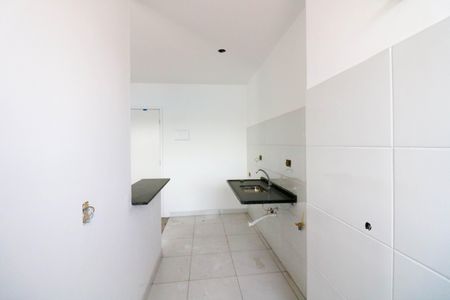 Cozinha de apartamento para alugar com 2 quartos, 47m² em Jardim dos Ipes, São Paulo