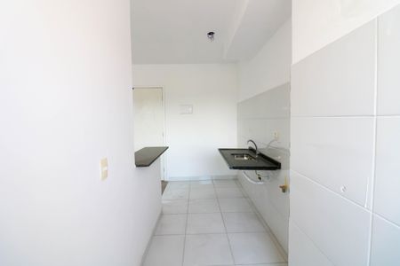 Cozinha de apartamento para alugar com 2 quartos, 47m² em Jardim dos Ipes, São Paulo