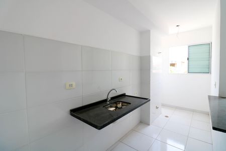 Cozinha de apartamento para alugar com 2 quartos, 47m² em Jardim dos Ipes, São Paulo