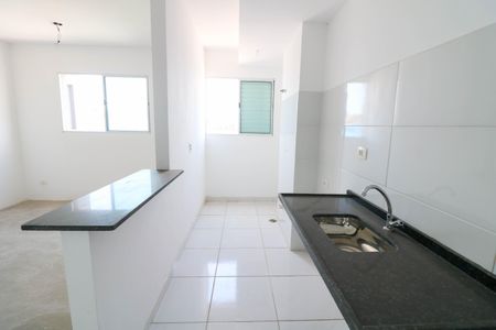 Cozinha de apartamento para alugar com 2 quartos, 47m² em Jardim dos Ipes, São Paulo