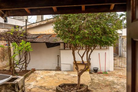 Casa para alugar com 100m², 5 quartos e 2 vagasEdícula-Vista Cozinha