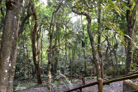 Casa para alugar com 450m², 4 quartos e 2 vagas Casa para alugar com 450m², 4 quartos e 2 vagasÁrea externa