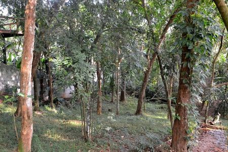 Casa para alugar com 450m², 4 quartos e 2 vagas Casa para alugar com 450m², 4 quartos e 2 vagasÁrea externa