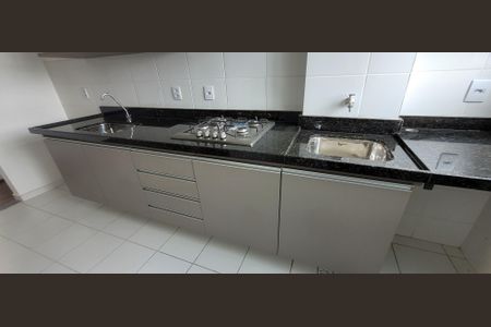 Apartamento para alugar com 45m², 2 quartos e 2 vagascozinha