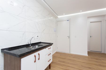 Apartamento para alugar com 39m², 2 quartos e sem vagaCozinha 