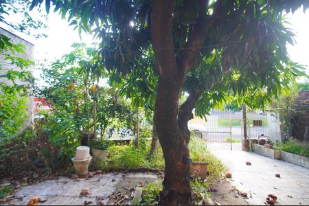 Vista da Sala de casa à venda com 3 quartos, 200m² em Scharlau, São Leopoldo
