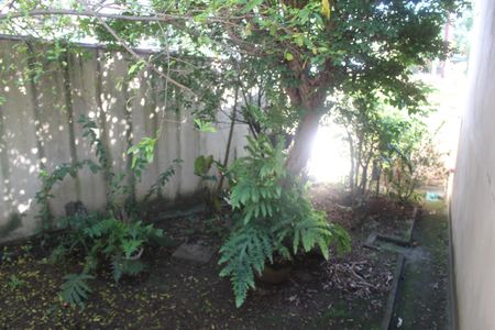 Casa à venda com 403m², 3 quartos e 3 vagasQuintal