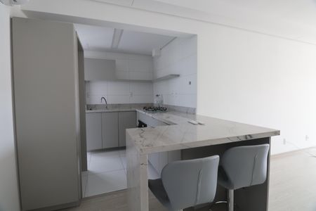 Apartamento para alugar com 72m², 2 quartos e 2 vagasCozinha - Armários