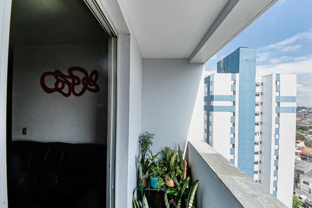 Apartamento à venda com 3 quartos, 63m² em Vila Cunha Bueno, São Paulo