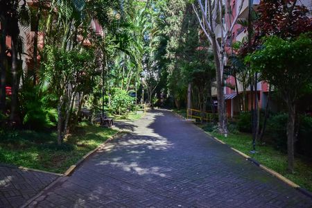 Apartamento à venda com 74m², 3 quartos e 1 vaga Apartamento à venda com 74m², 3 quartos e 1 vagaJardim
