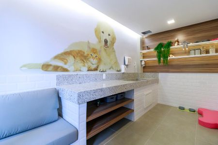 Apartamento para alugar com 35m², 1 quarto e sem vagaPet Place