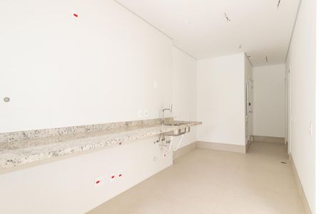 Apartamento à venda com 244m², 3 quartos e 3 vagasCozinha