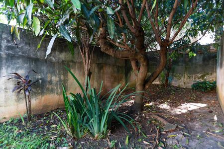 Casa à venda com 254m², 2 quartos e 3 vagasQuintal e jardim