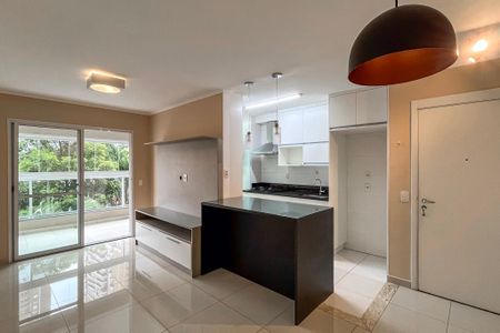 Sala de apartamento para alugar com 2 quartos, 67m² em Vila Gumercindo, São Paulo