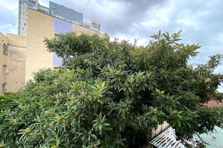 Vista da Sala de apartamento para alugar com 3 quartos, 117m² em Aeroporto, Belo Horizonte