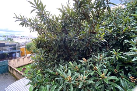 Apartamento para alugar com 117m², 3 quartos e 2 vagasVista do Quarto 3